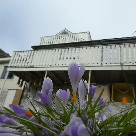 Leifs House Sund (Nordland)